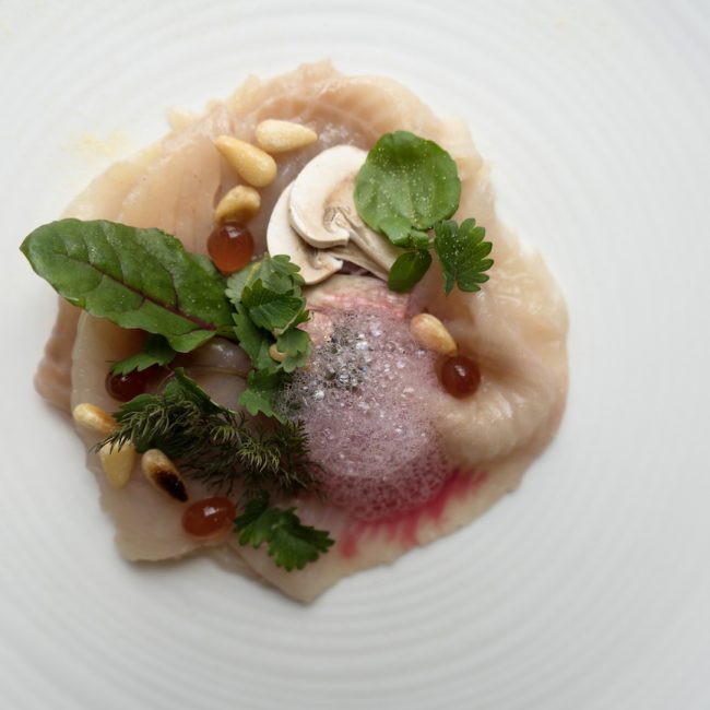 Stefenelli Desk Salmerino alpino crudo di champignon aria di barbabietola pinoli tostati e olio al pino mugo